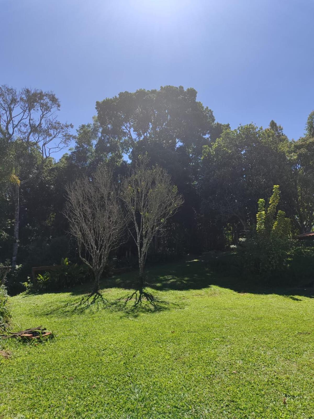 塔皮拉伊Sitio Na Mata Atlantica住宿加早餐旅馆 外观 照片